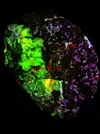 rock and lichen fluorescing