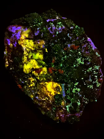 rock and lichen fluorescing