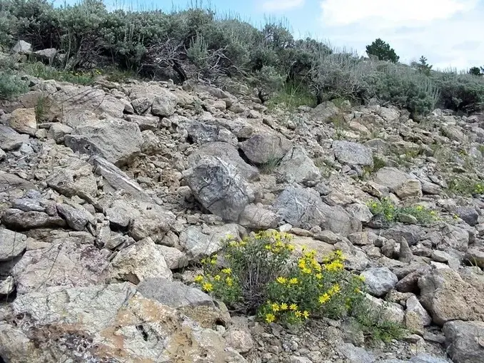 serpentine outcrop