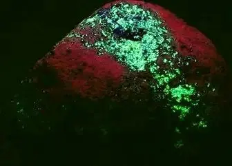 fluorescent volcanic cobble