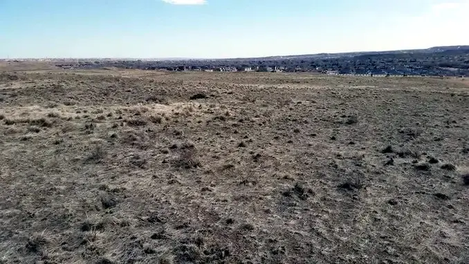 Desert Prairie