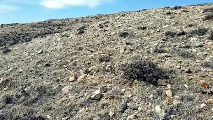 Rocky Hillside