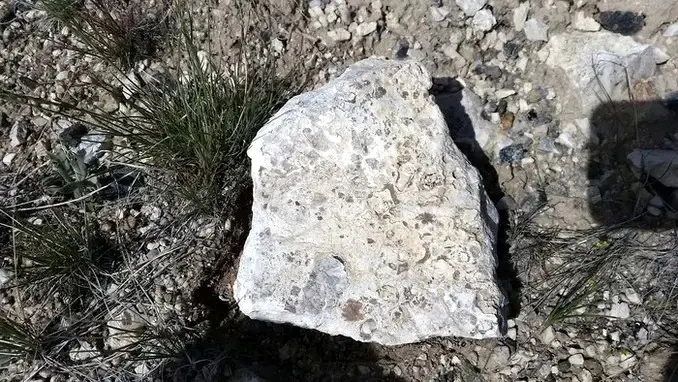 rock specimen