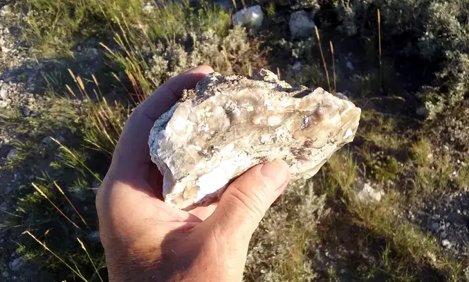 opal specimen