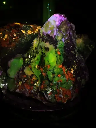 rock and lichen fluorescing