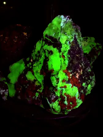 rock and lichen fluorescing