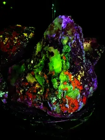 rock and lichen fluorescing