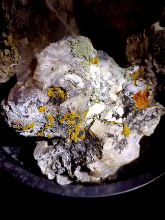 rock and lichen