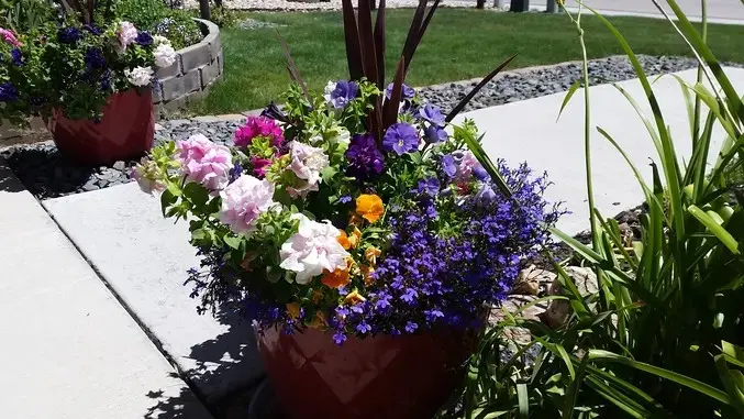 Daylight Flower Pot