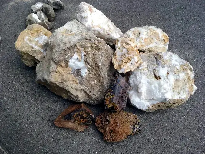 Rock and Lichen Specimens