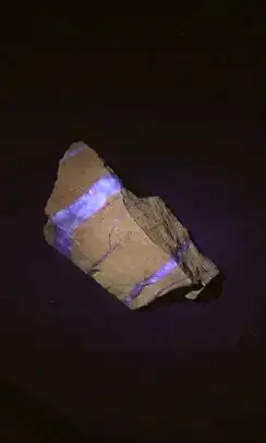 Fluorescent Calcite Veins in Limestone