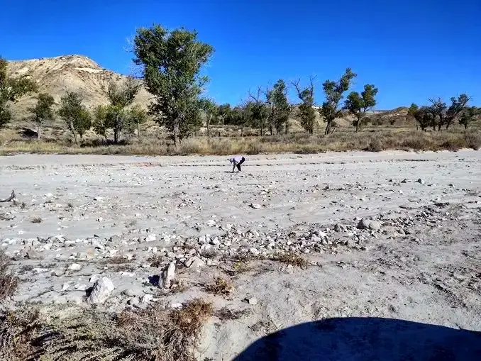 Dry Creekbed