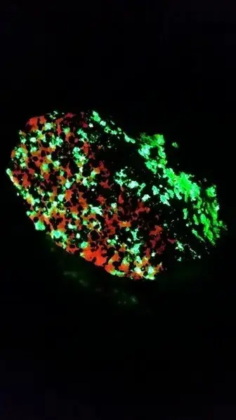 fluorescent esperite calcite willemite