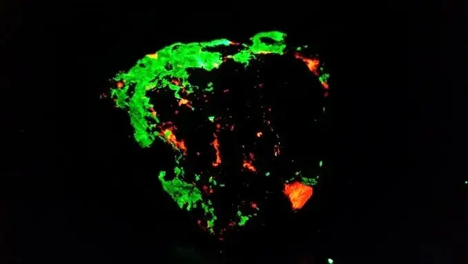 fluorescent grape willemite calcite