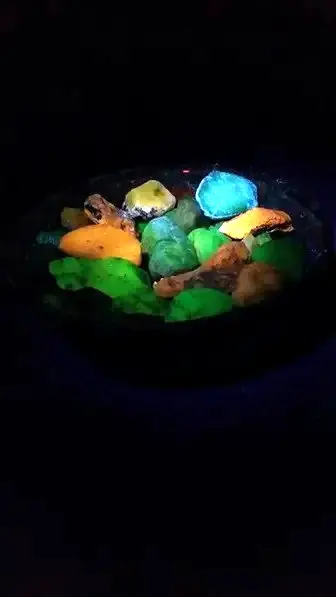 Fluorescent Sweetwater Agates Long Wave