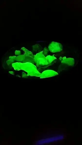 Bright Green Fluorescent Sweetwater Agates Short Wave