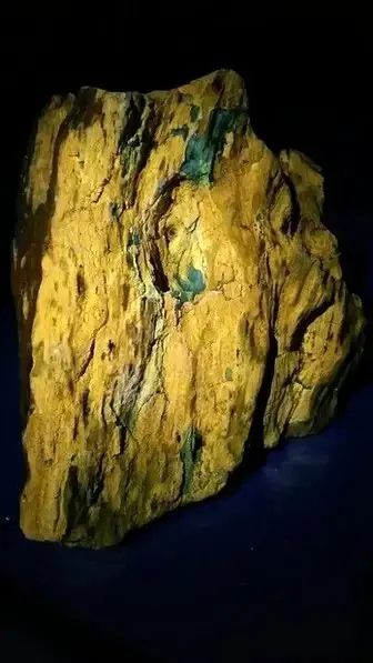 fluorescent petrified wood 