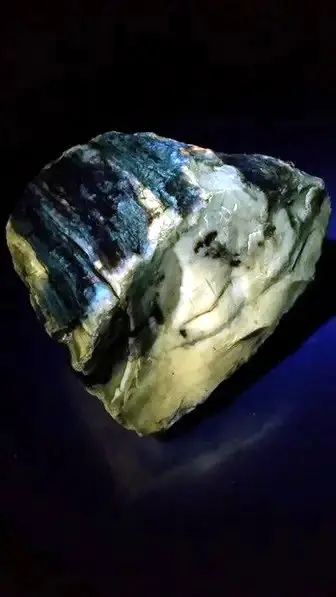 fluorescent petrified wood 