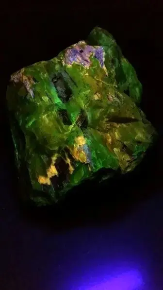 fluorescent petrified wood 