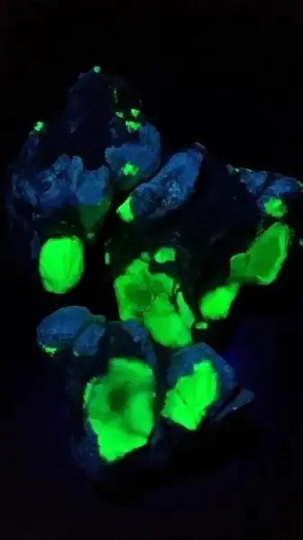 Fluorescent Angel Agate